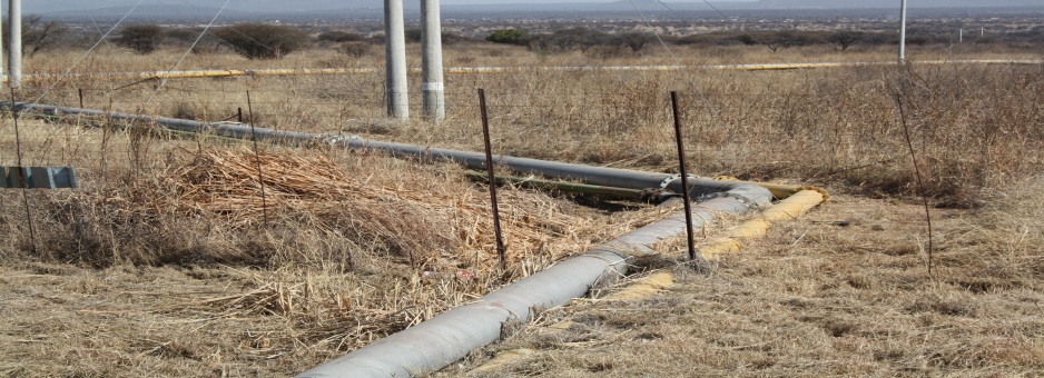 limpopo 137 (3)